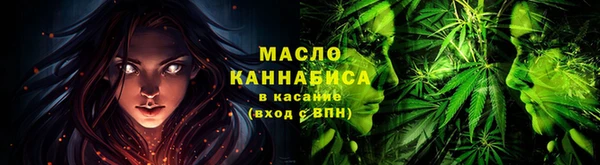 индика Медногорск