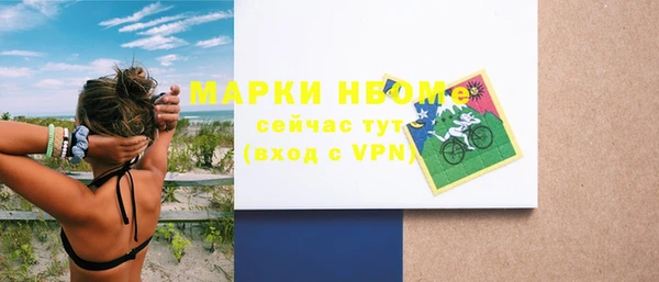 индика Медногорск