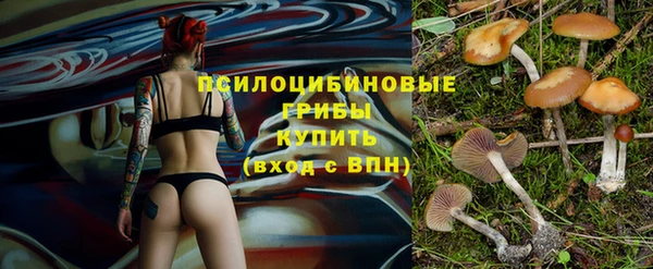 соль курить ск Михайлов