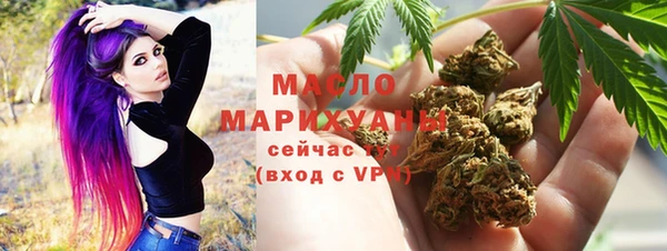 индика Медногорск