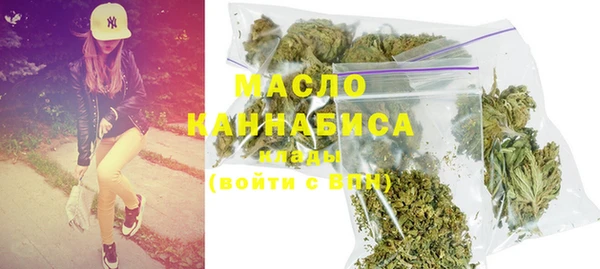 индика Медногорск