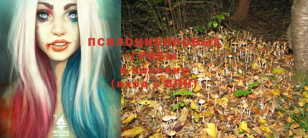 индика Медногорск