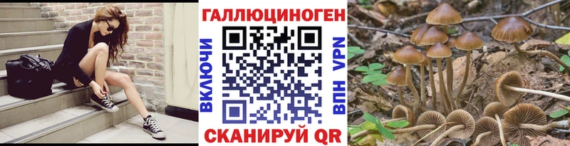 Псилоцибиновые грибы мухоморы  купить  цена  Кедровый 